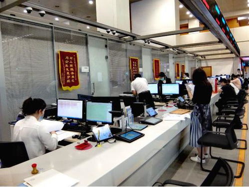 科技賦能，服務百姓——北京順義區(qū)創(chuàng)新技術(shù)服務模式探秘
